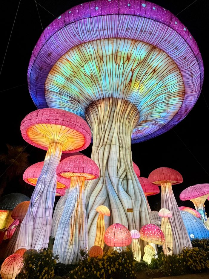 Vibrant and colorful giant mushroom light sculptures create a magical night scene.
