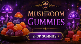 mushroom gummies category banner 385x191