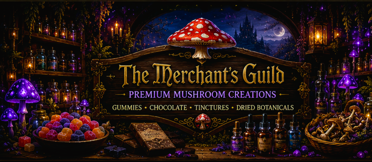 merchants guild hero banner cropped dramatic cool 1200x523