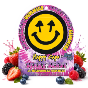 happy cap road trip berry 600